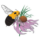 Pollinators Nelson Family Farm