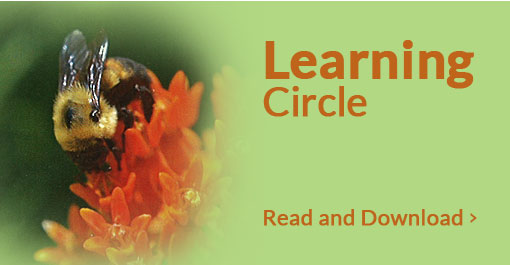 Learning Circle