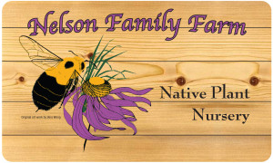 Nelson Family Farm - Artwork
